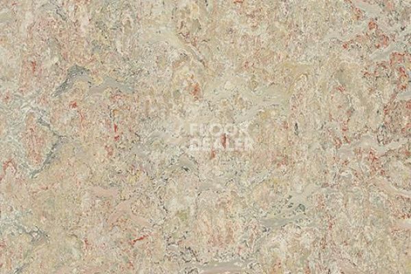 Линолеум Marmoleum Decibel on Order 342735 agate фото 1 | FLOORDEALER